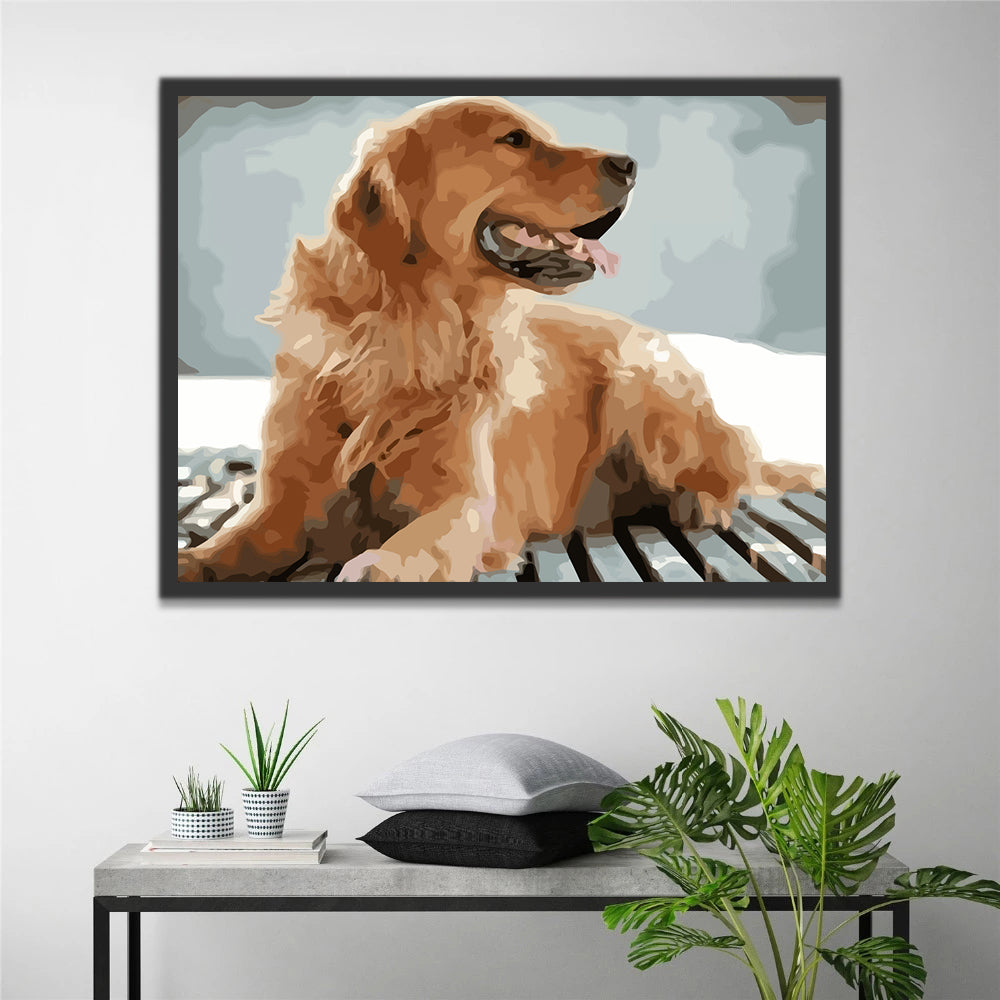 Golden Retriever Dog Paint by Numbers