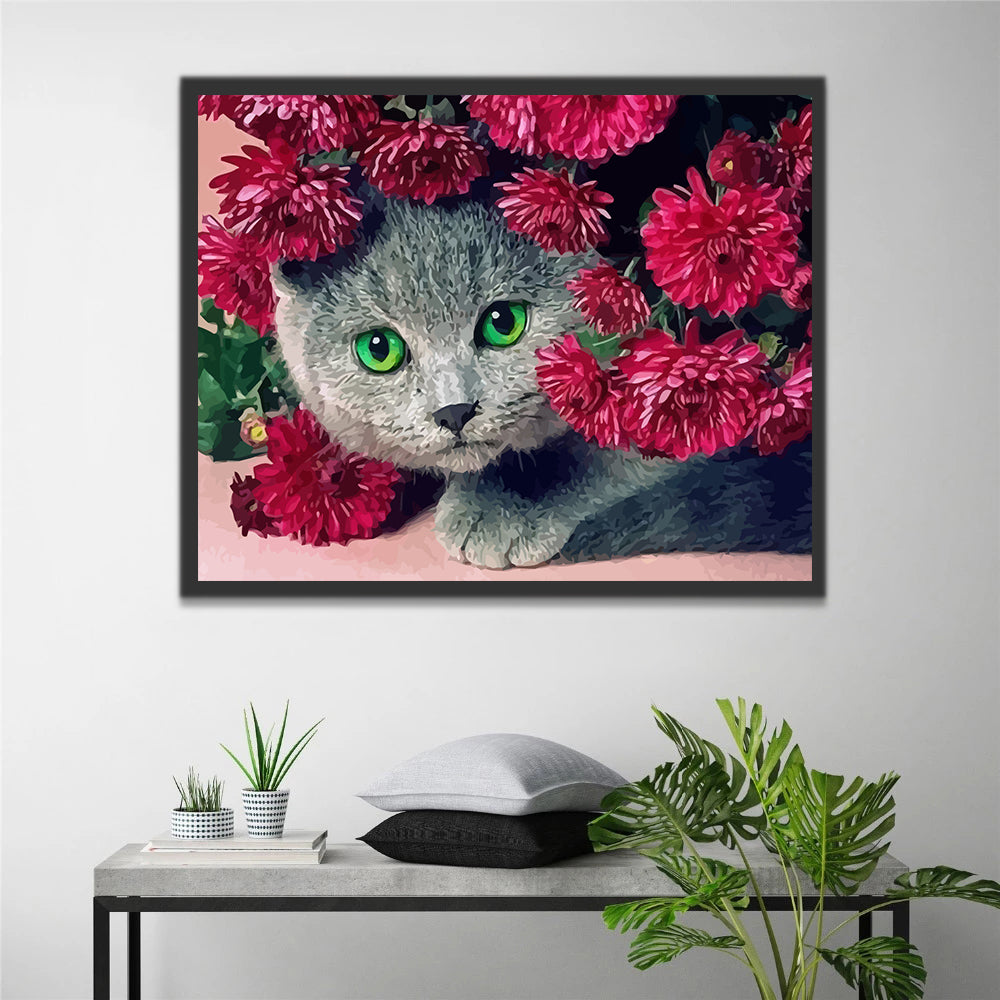 Gray Cat in Red Flowers Paint by Numbers