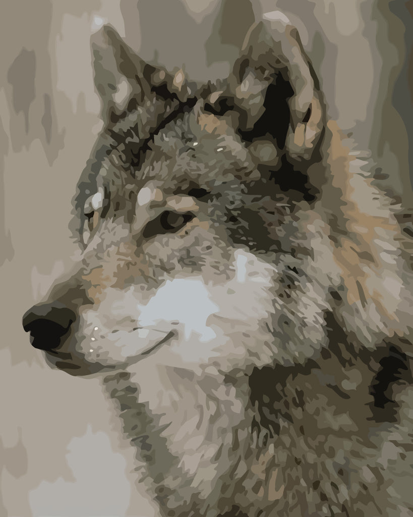 Gray Wolf Paint by Numbers