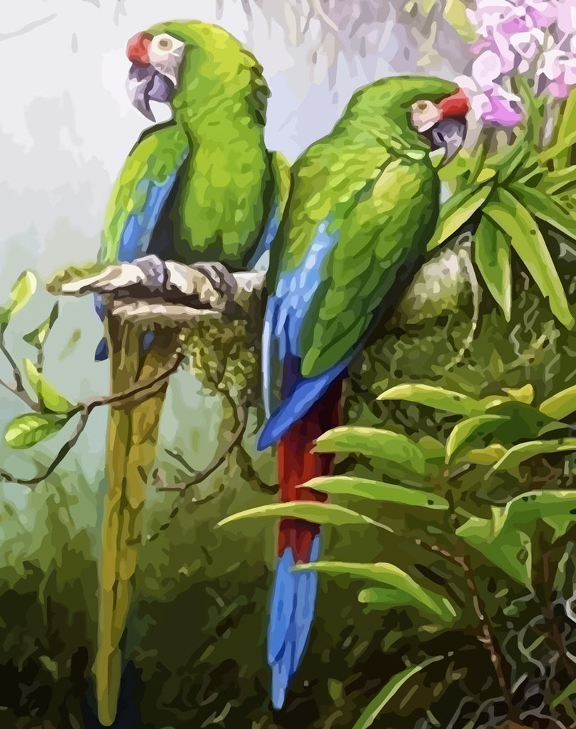 Green Parrots Paint by Numbers