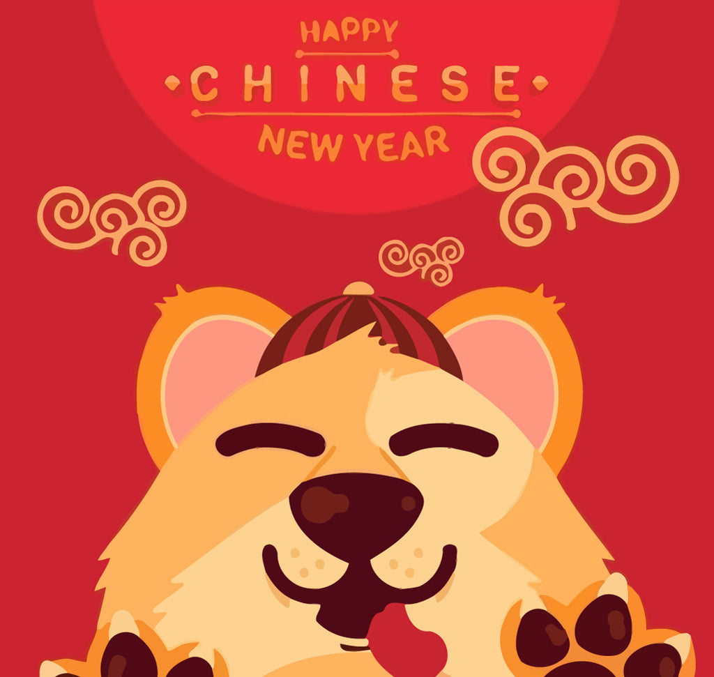 Happy Chinese New Year Paint by Numbers for Kids