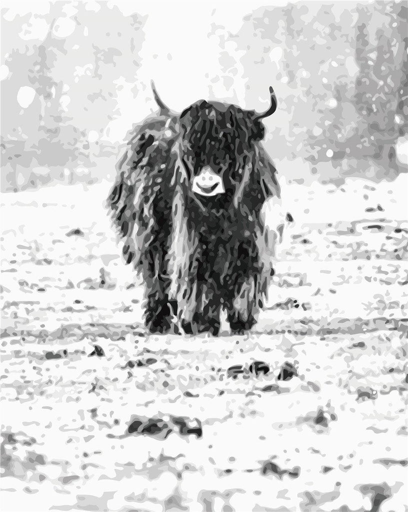 Highland Cow in Snow Paint by Numbers