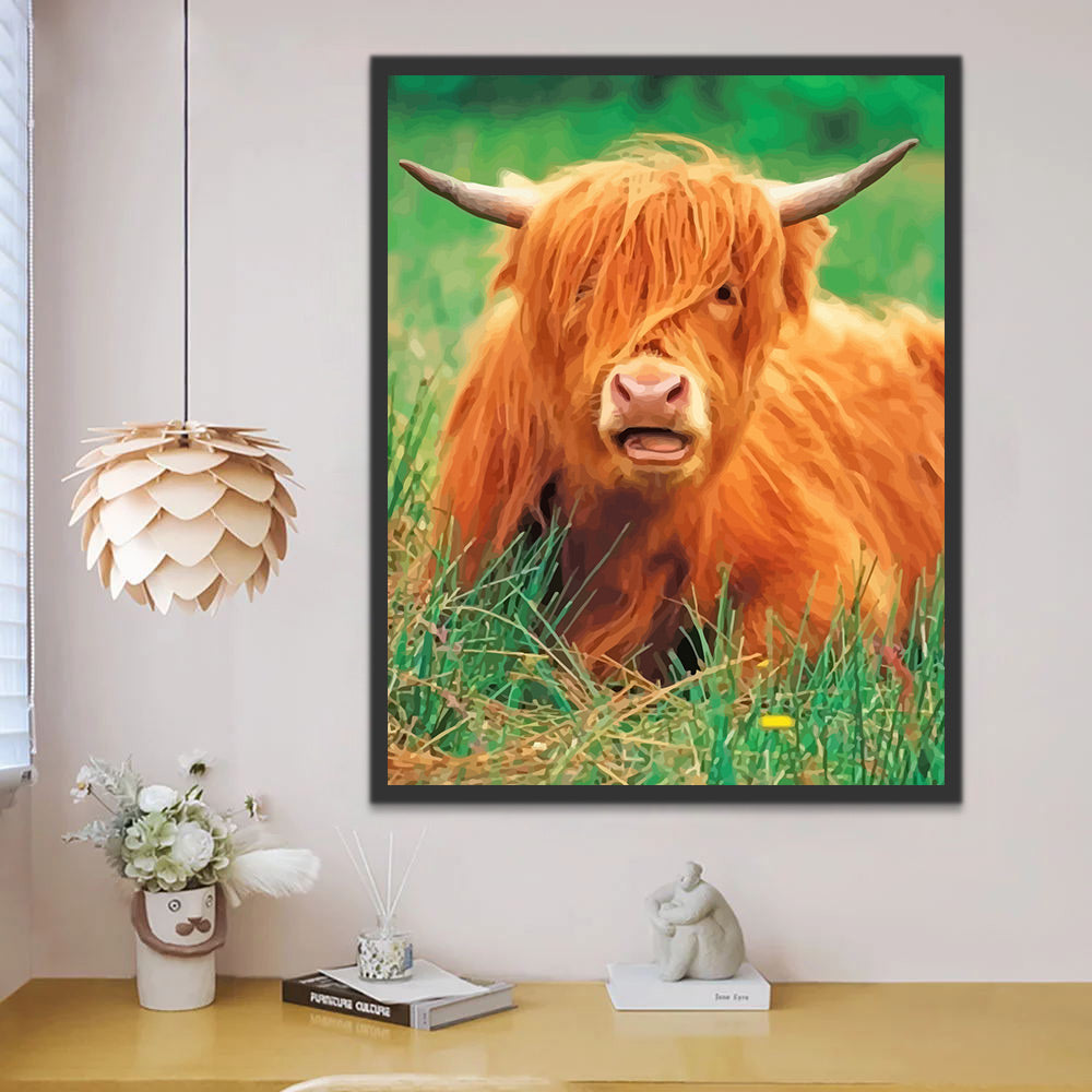 Highland Cow on Grass Paint by Numbers