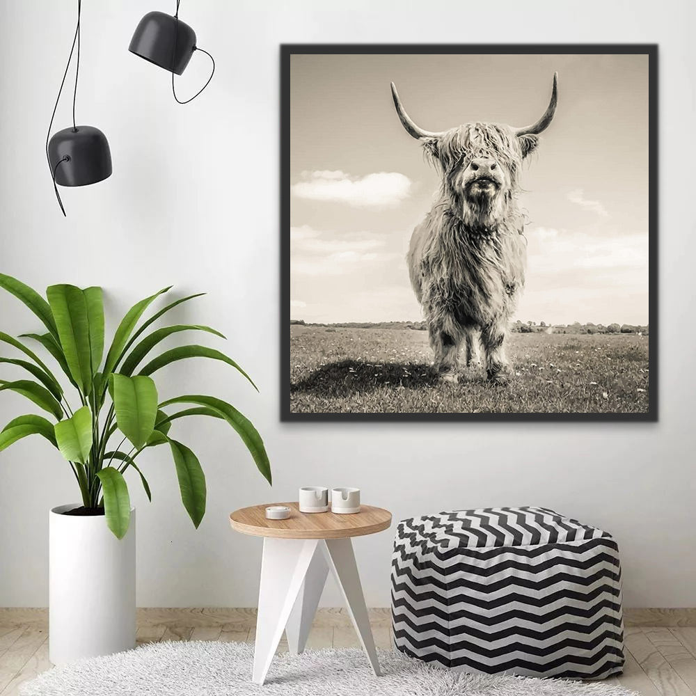 Highland Cow Paint by Numbers