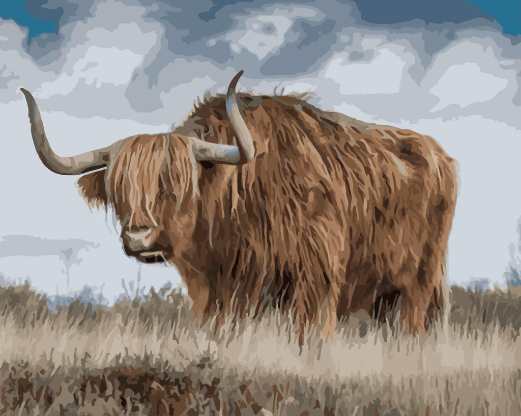 Highland Cow Paint by Numbers