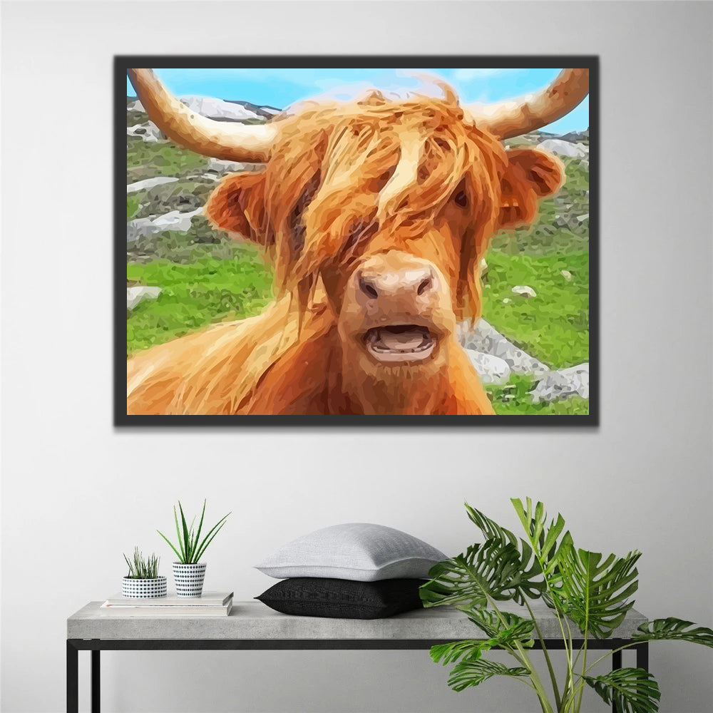 Highland Cow Paint by Numbers