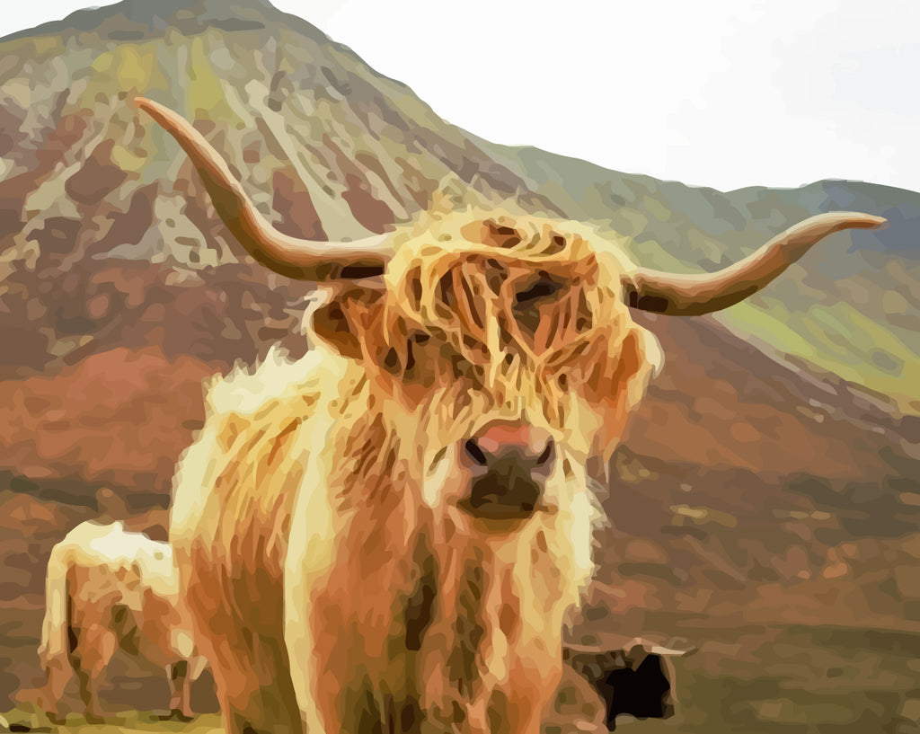 Highland Cow Paint by Numbers