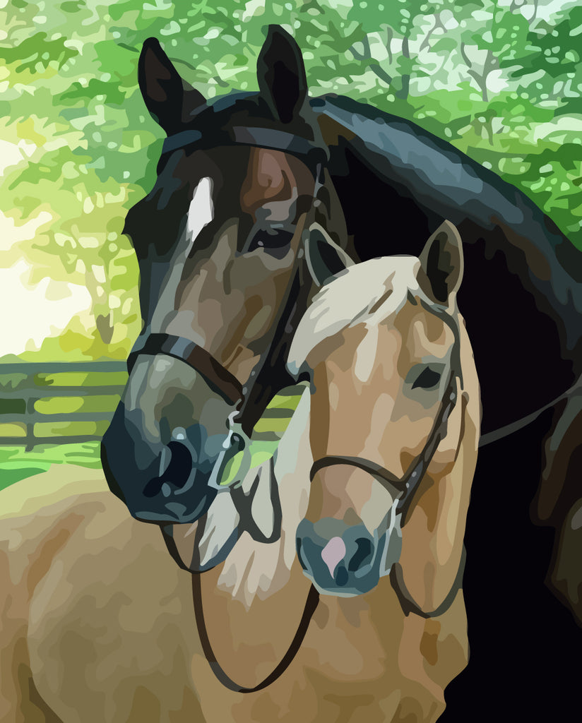 Horse Couple Paint by Numbers