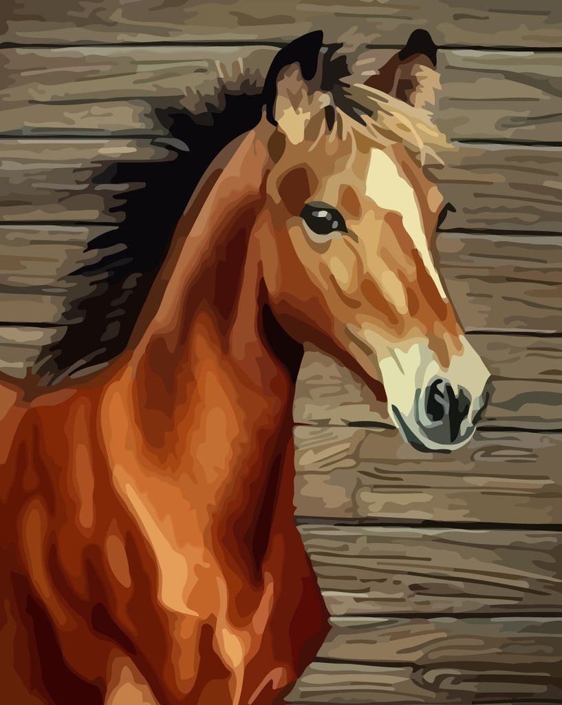 Horse Paint by Numbers