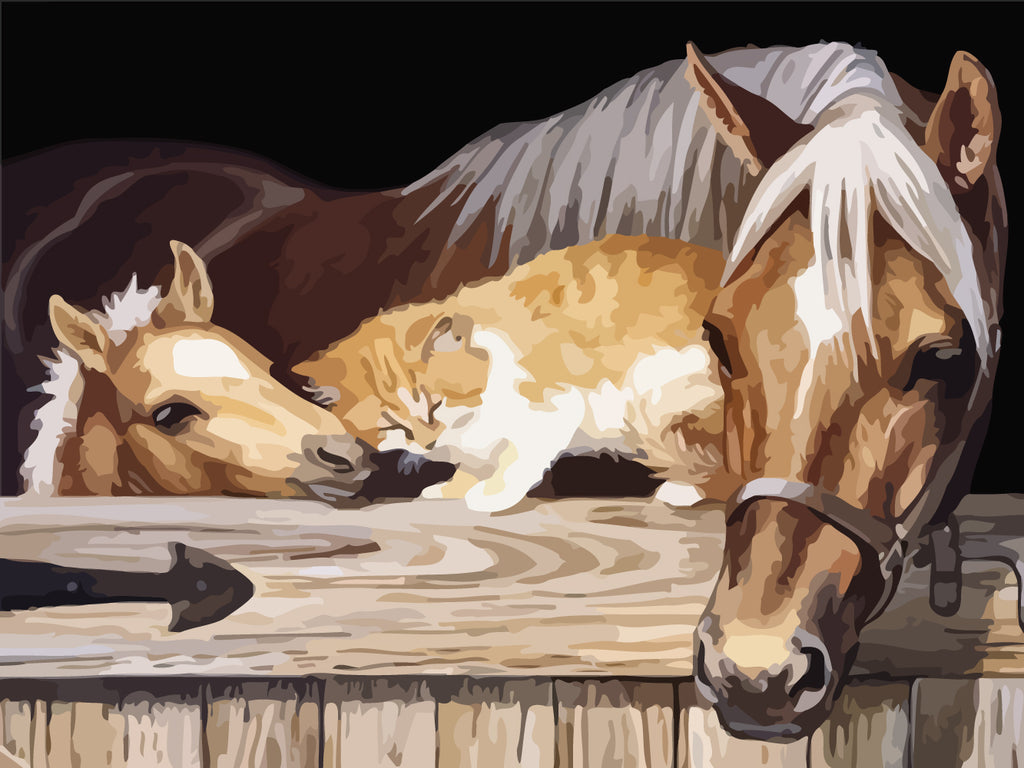 Horses and Cat Paint by Numbers