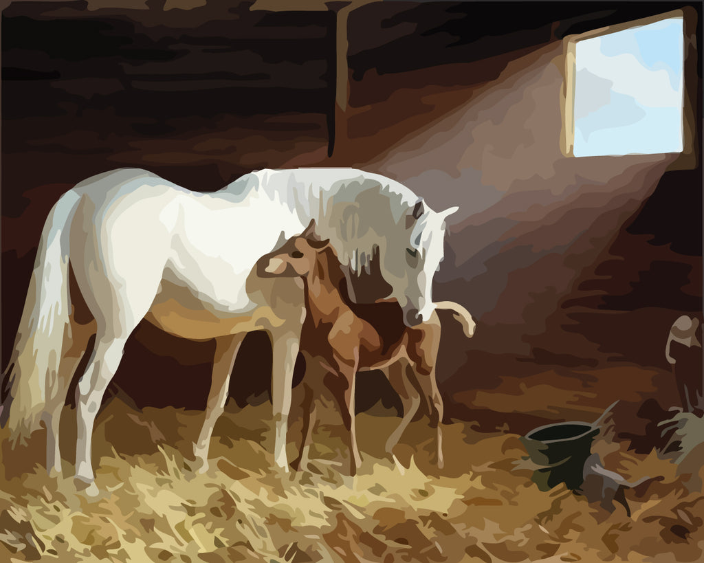 Horses in Stable Paint by Numbers