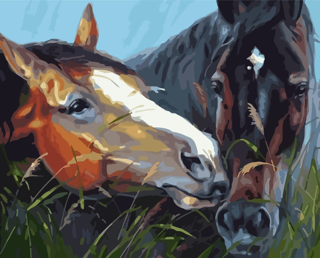 Horses Paint by Numbers