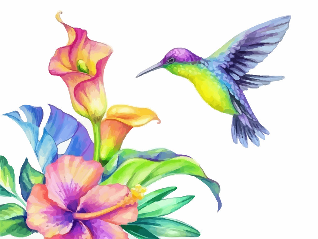 Hummingbird and Flowers Paint by Numbers