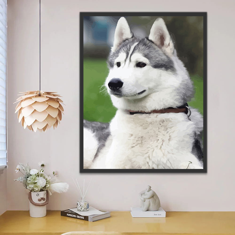 Husky Dog Paint by Numbers