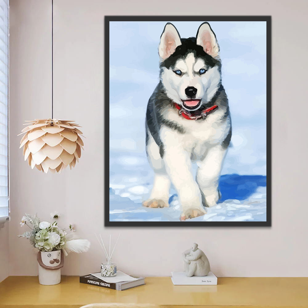 Husky in Snow Paint by Numbers