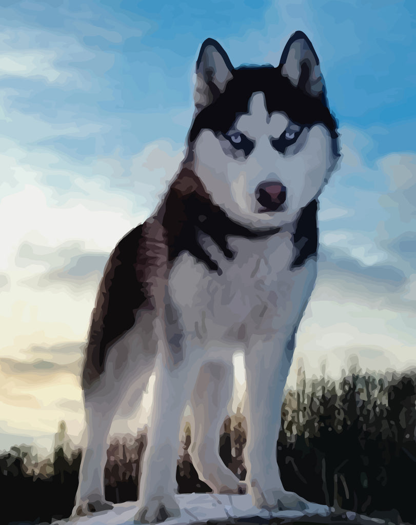 Husky Paint by Numbers