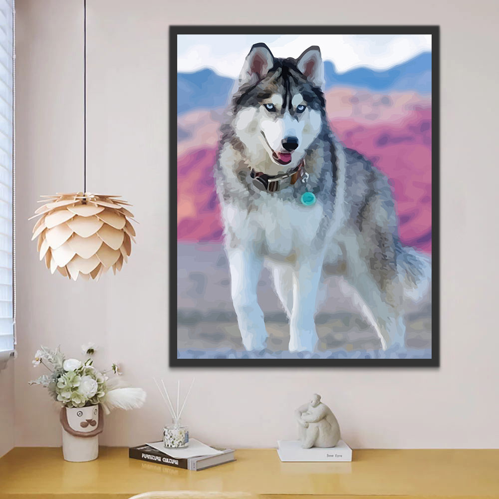 Husky with A Collar Paint by Numbers