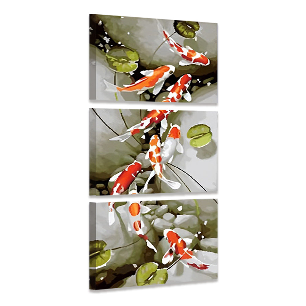 Koi Carp 3 Pack Paint By Numbers