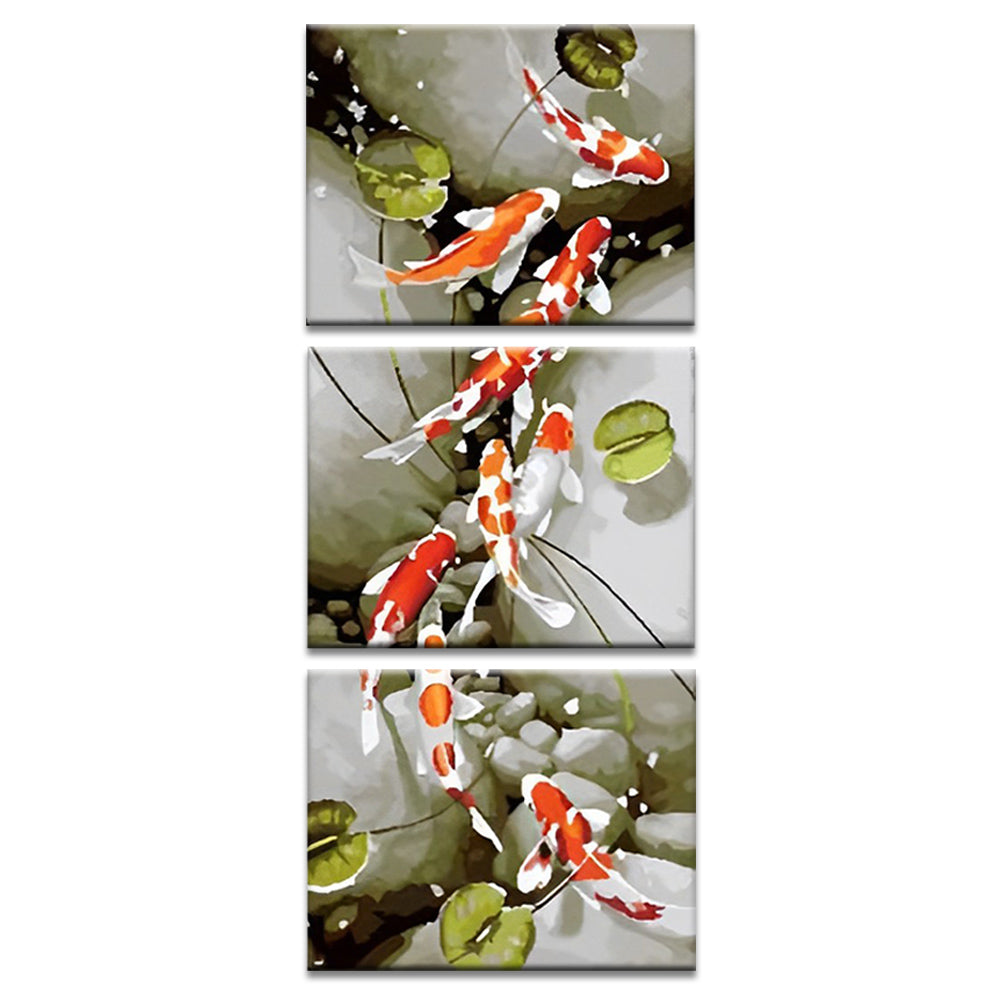 Koi Carp 3 Pack Paint By Numbers