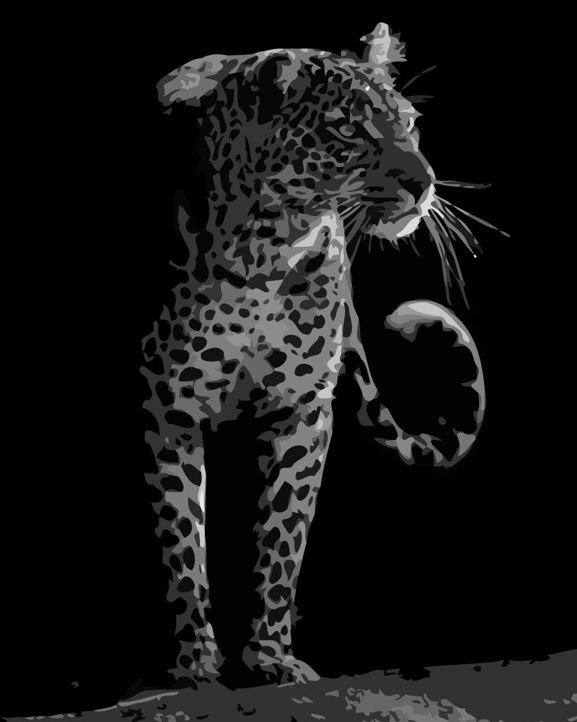 Leopard in the Dark Paint by Numbers