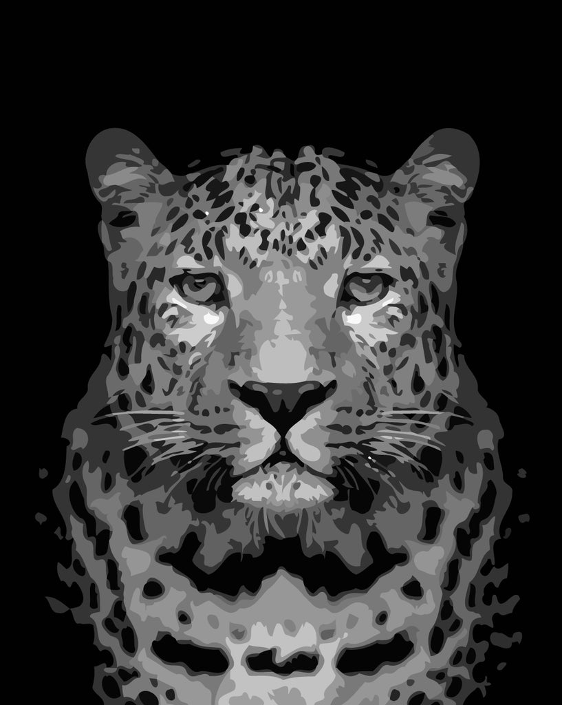 Leopard in the Dark Paint by Numbers