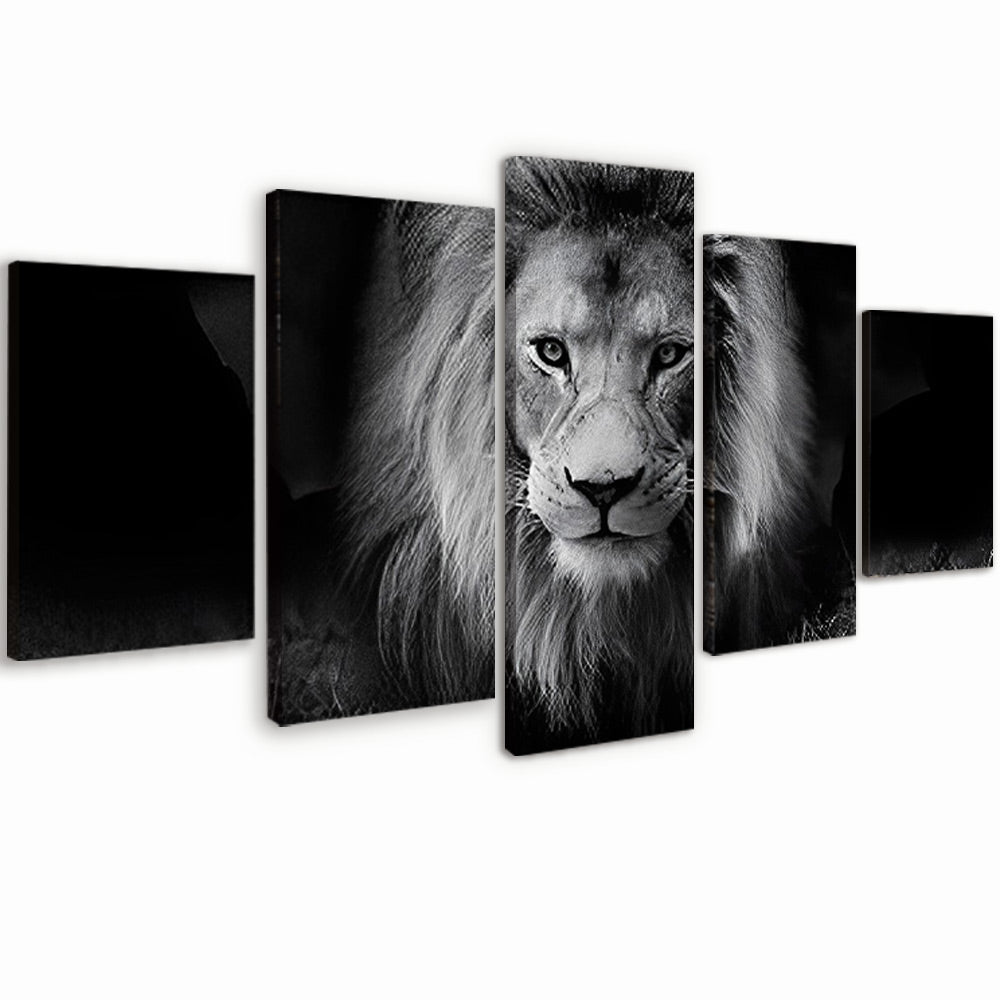 Lion 5 Pack Paint By Numbers