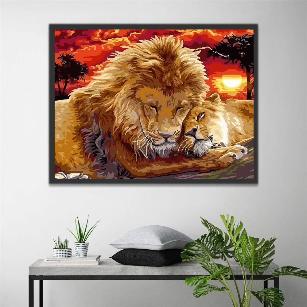 Lions at Sunset Paint by Numbers