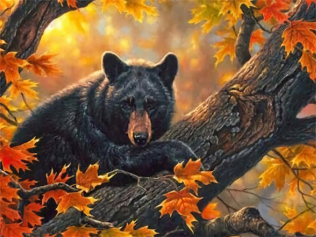 Maple Leaves and Bear Paint by Numbers