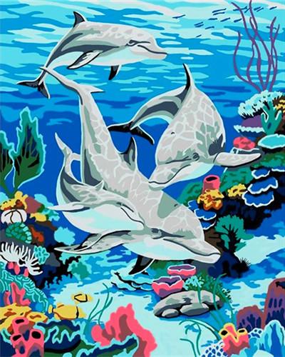 Marine Dolphin Paint by Numbers