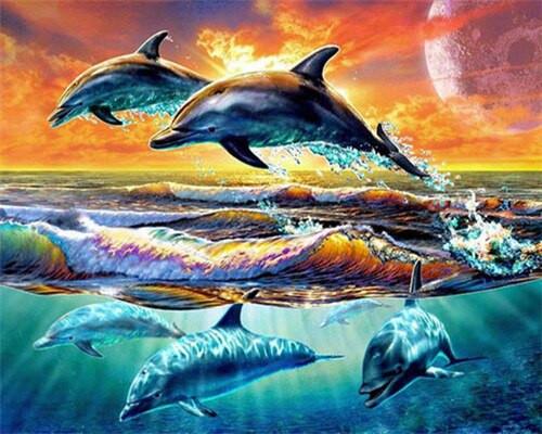 Marine Dolphins Paint by Numbers