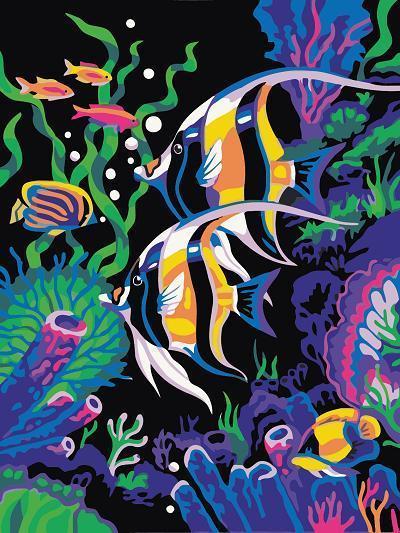 Marine Fish Paint by Numbers