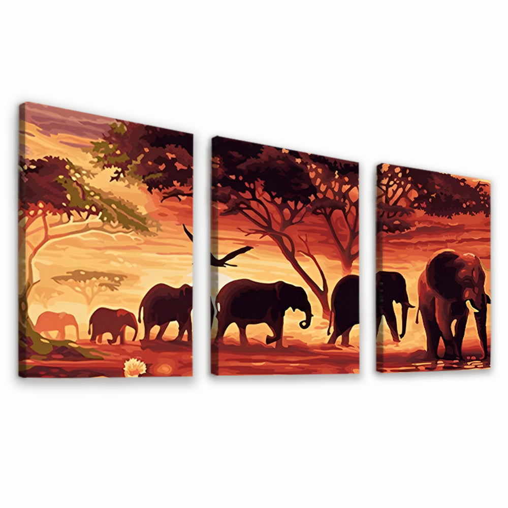 Migrating Elephants 3 Pack Paint By Numbers