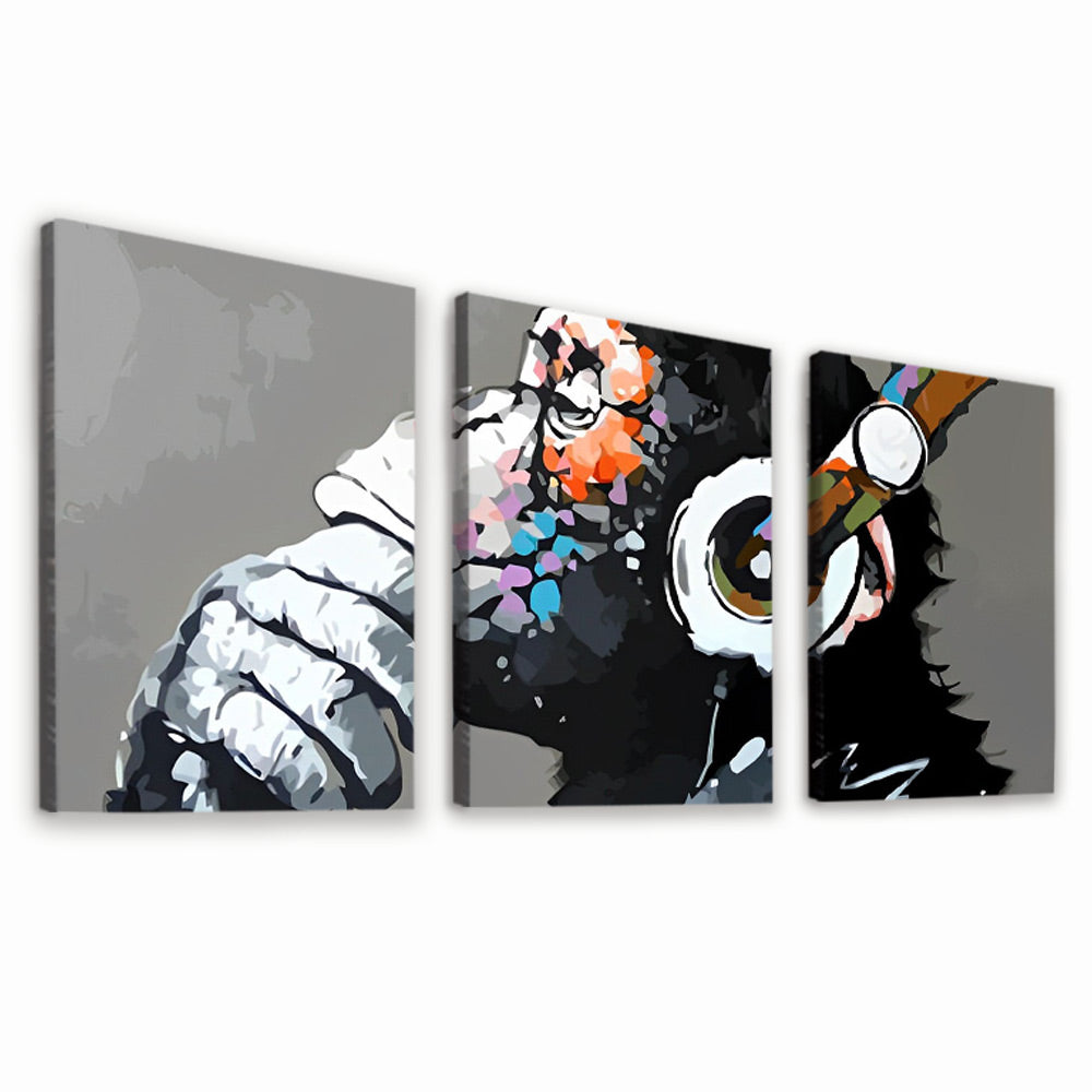 Monkey Listening to Music 3 Pack Paint By Numbers