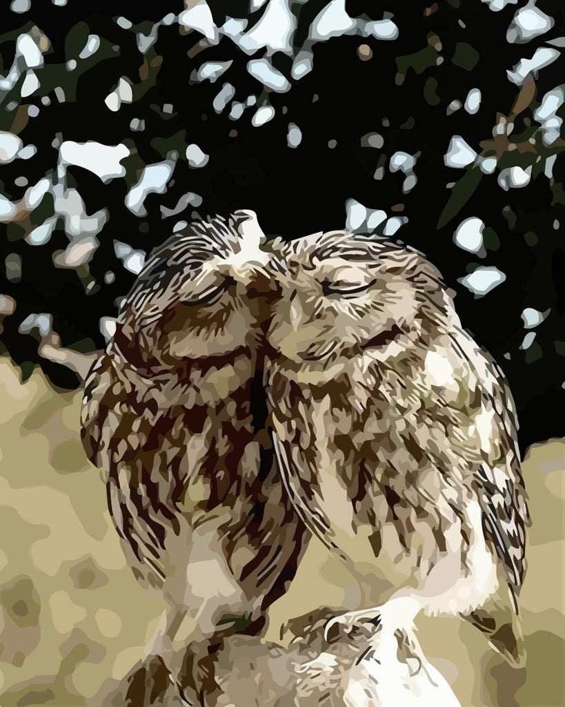 Owl Couple Paint by Numbers