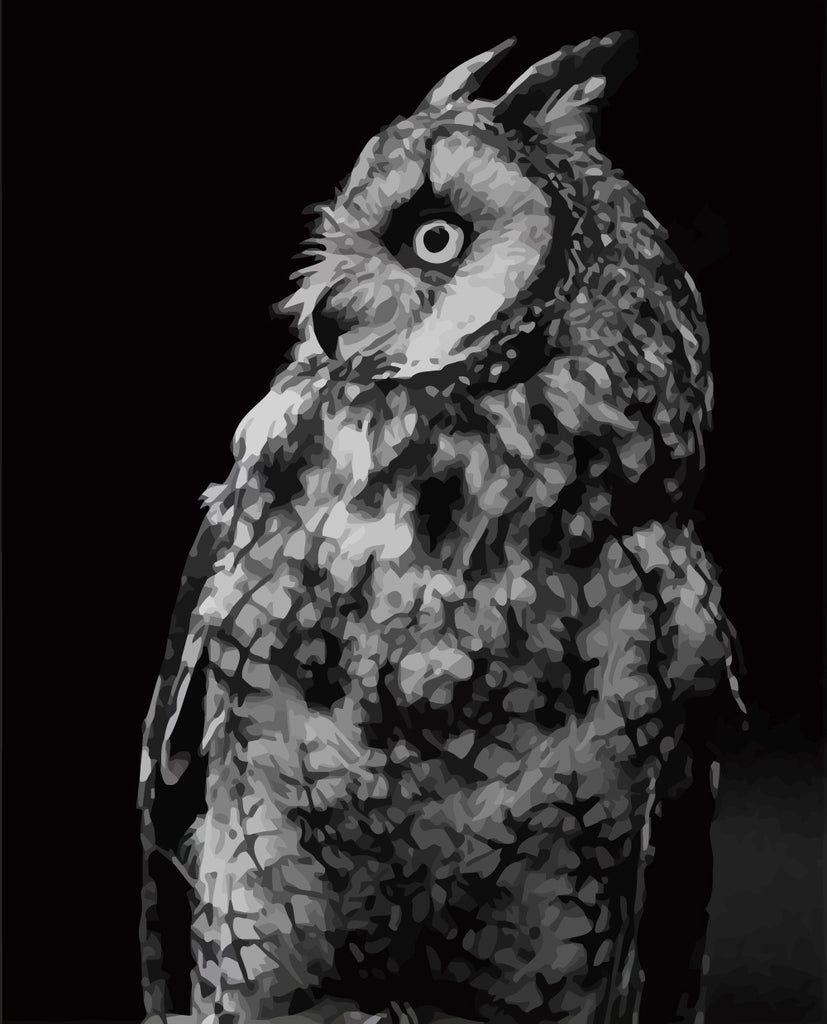 Owl in the Dark Paint by Numbers