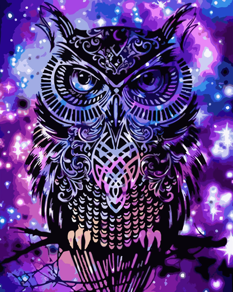 Owl on Purple Background Paint by Numbers