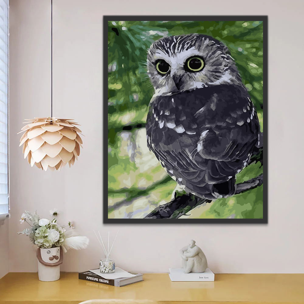 Owl Paint by Numbers