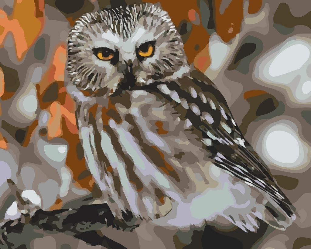 Owl Paint by Numbers