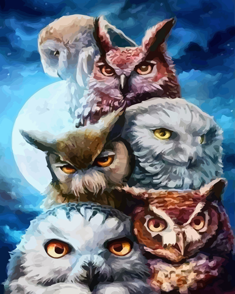 Owls in the Night Paint by Numbers