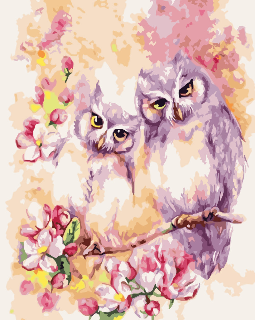 Owls on Flower Branch Paint by Numbers