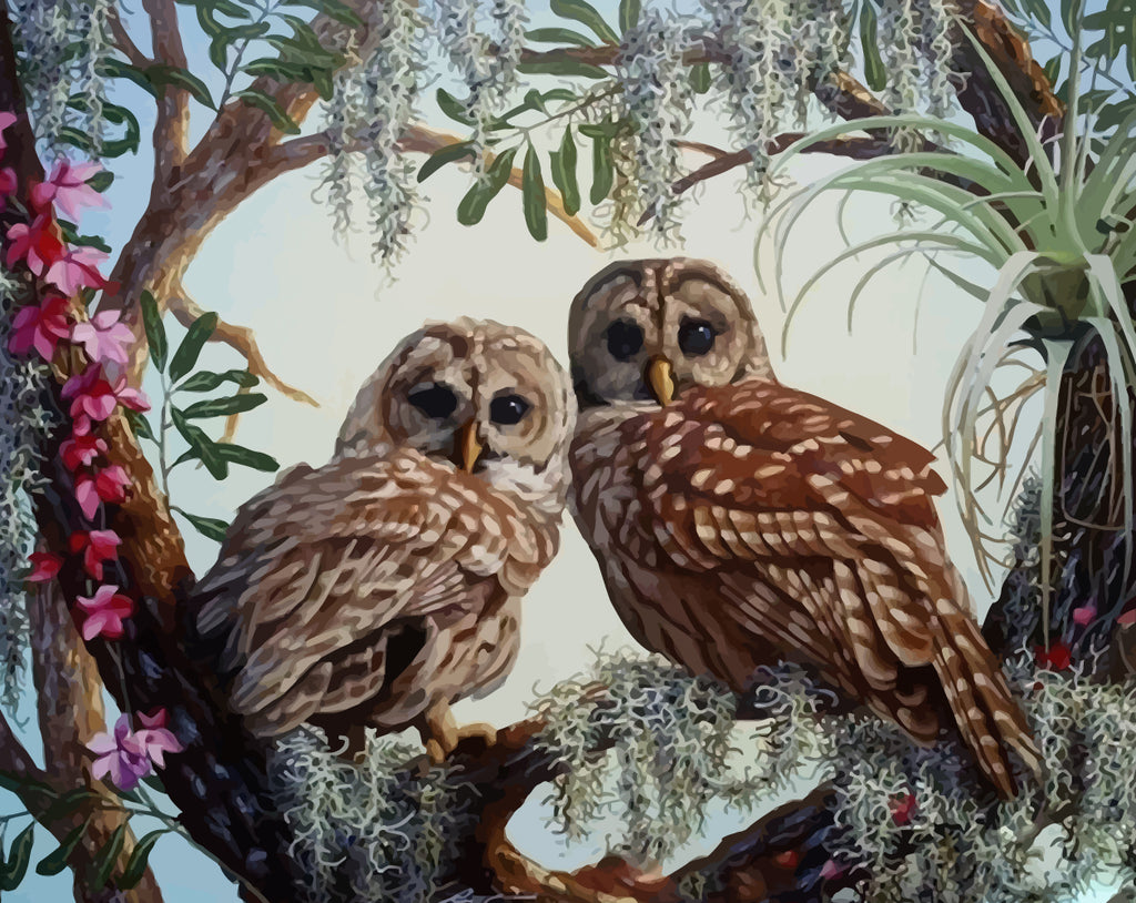 Owls on the Tree Paint by Numbers