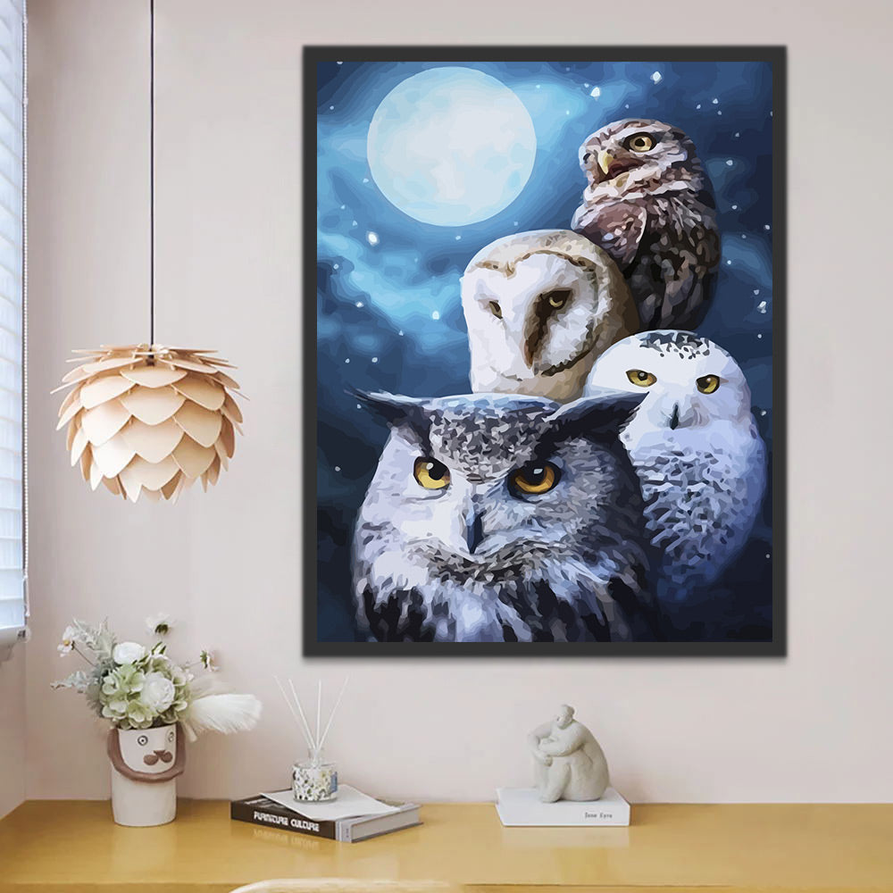 Owls Snow Moon Paint by Numbers