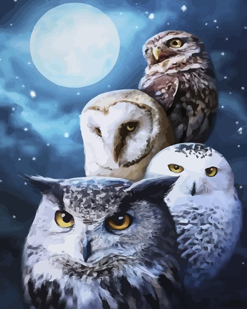 Owls Snow Moon Paint by Numbers