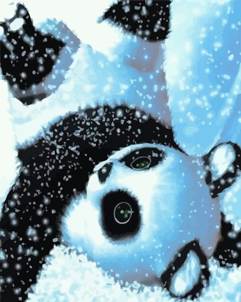 Panda in Snow Paint by Numbers