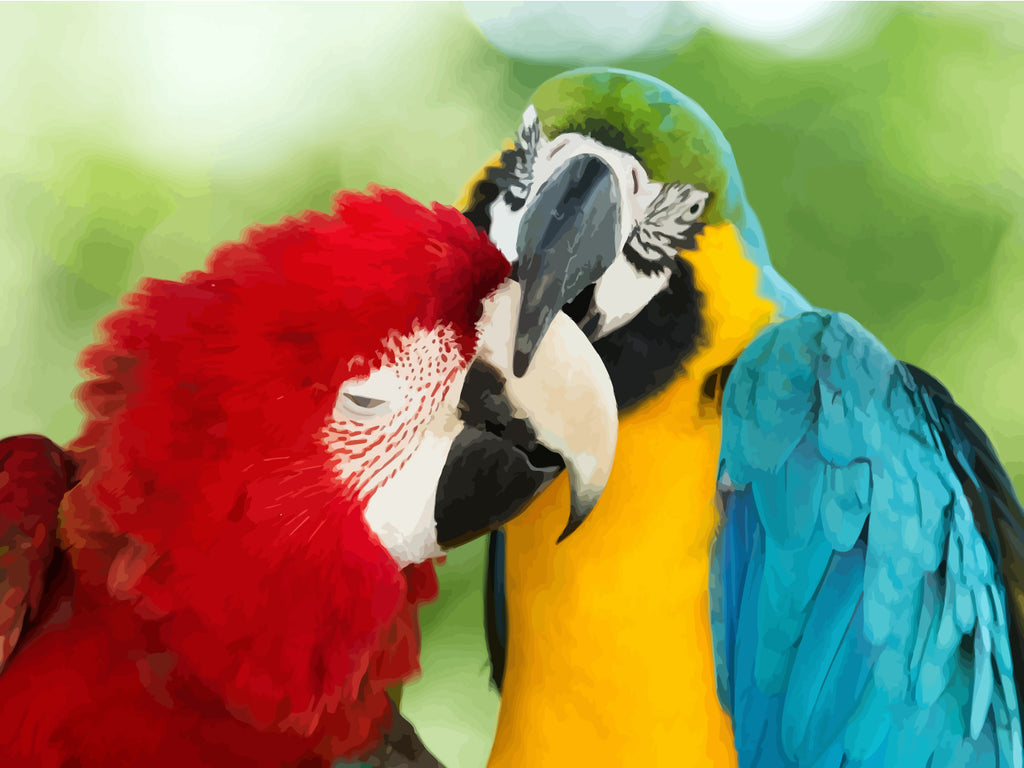 Parrot Couple Paint by Numbers