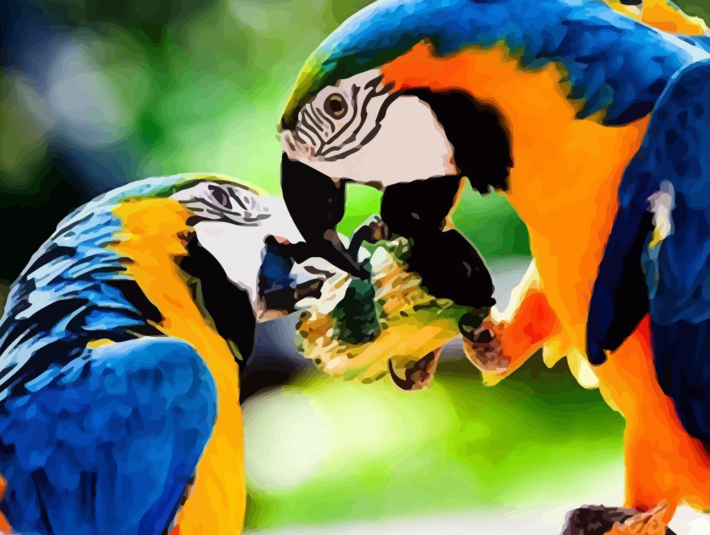 Parrots Paint by Numbers