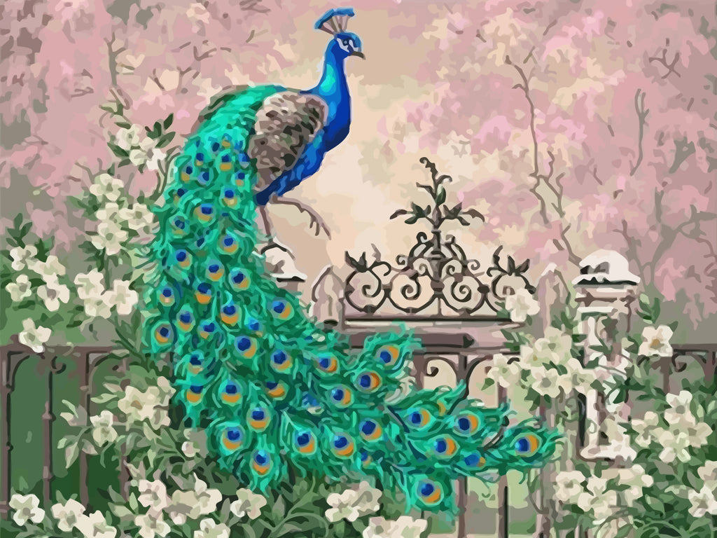 Peacock and White Flowers Paint by Numbers