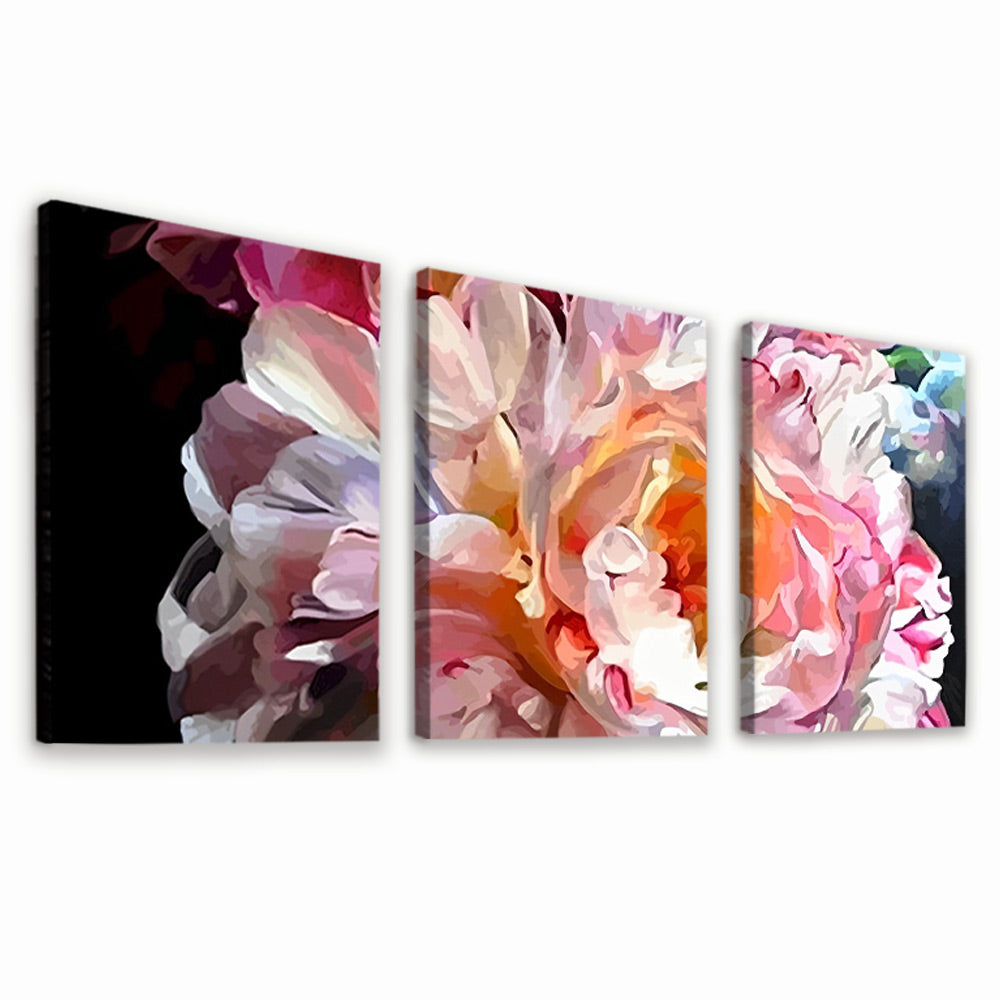 Peony 3 Pack Paint By Numbers