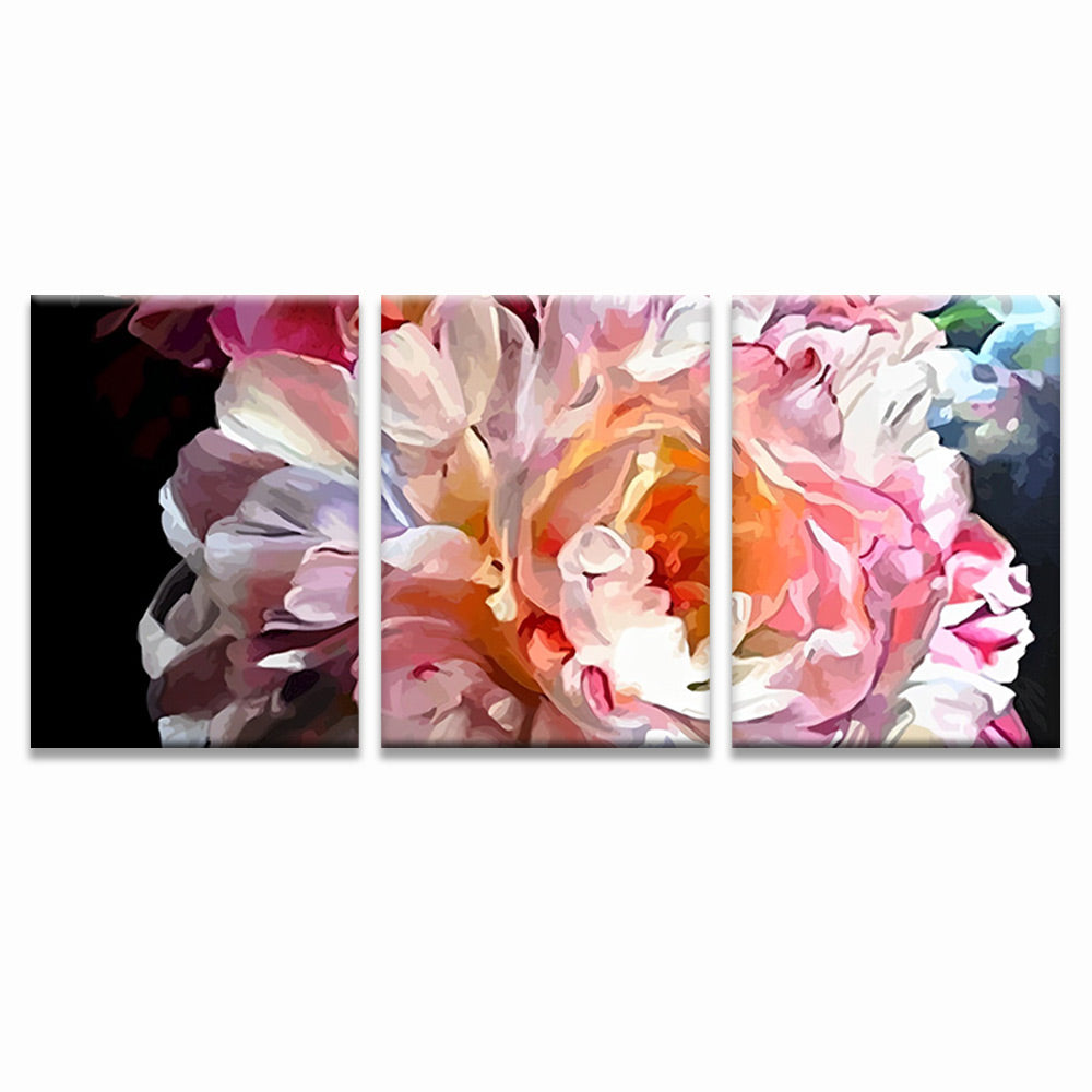 Peony 3 Pack Paint By Numbers