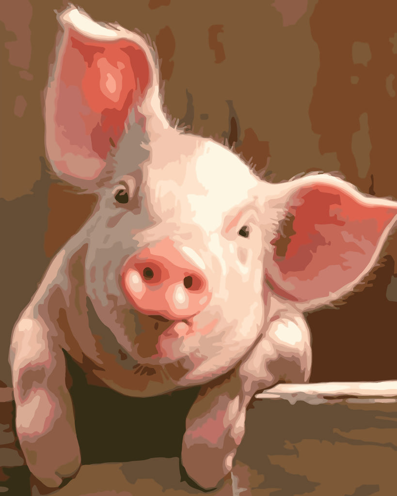 Pig Paint by Numbers